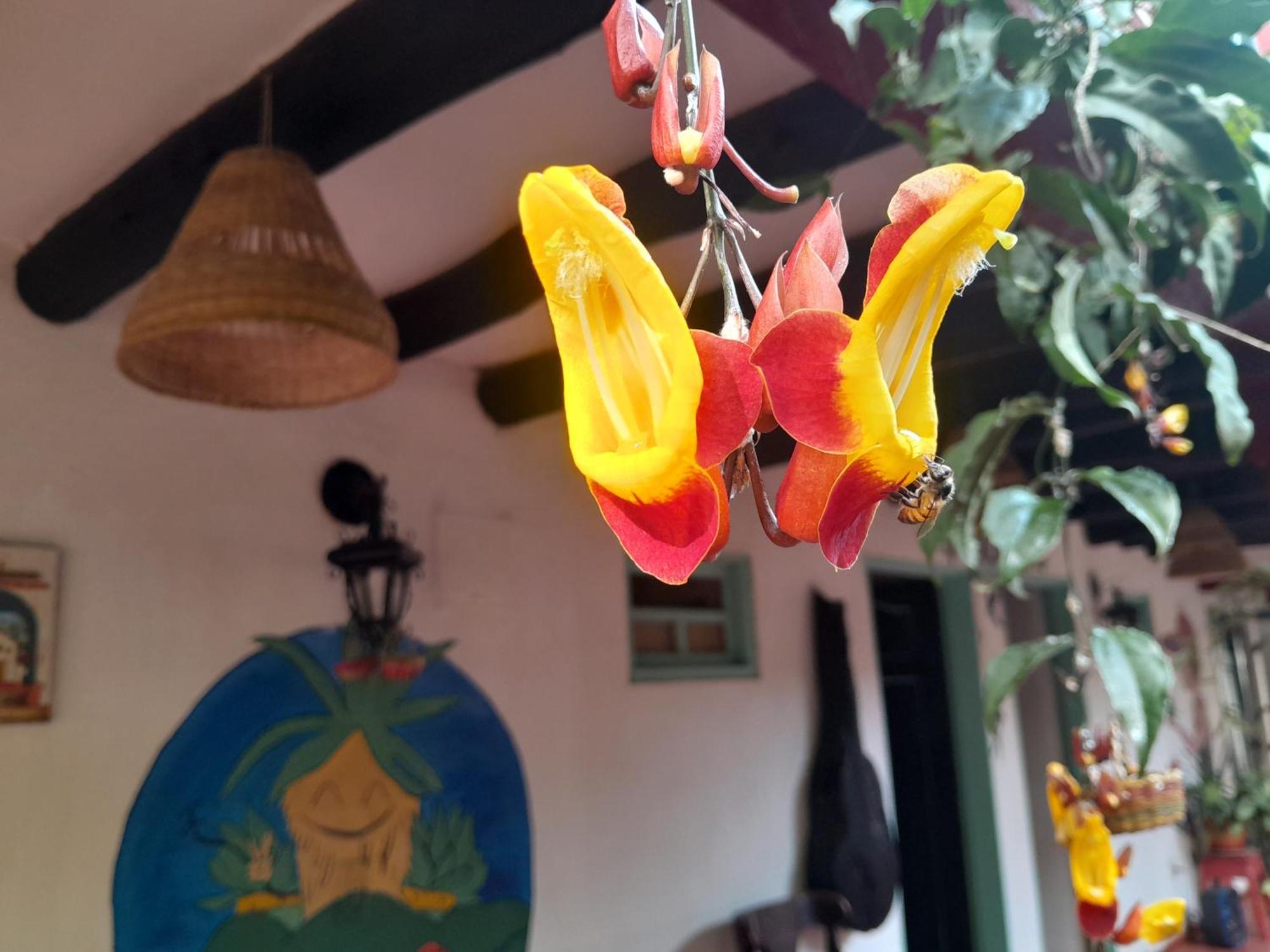 Beija Flor Hostel Villa de Leyva Dış mekan fotoğraf
